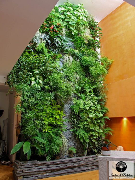 Murs végétaux intérieurs, leurs bienfaits - Jardins de Babylone