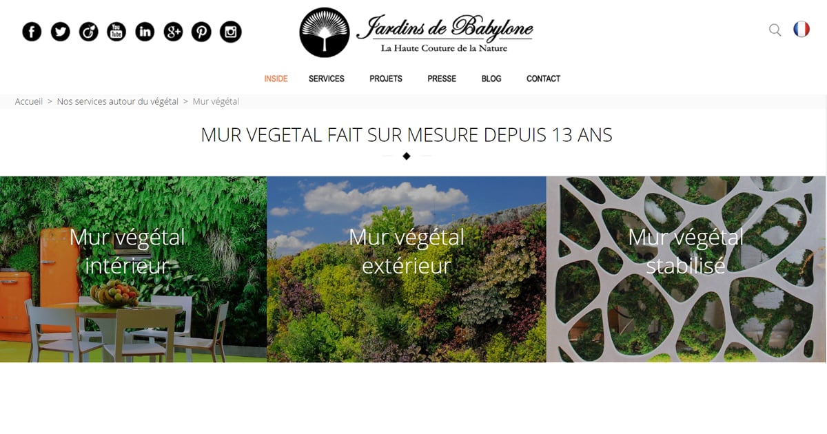 Murs végétaux intérieurs, leurs bienfaits - Jardins de Babylone