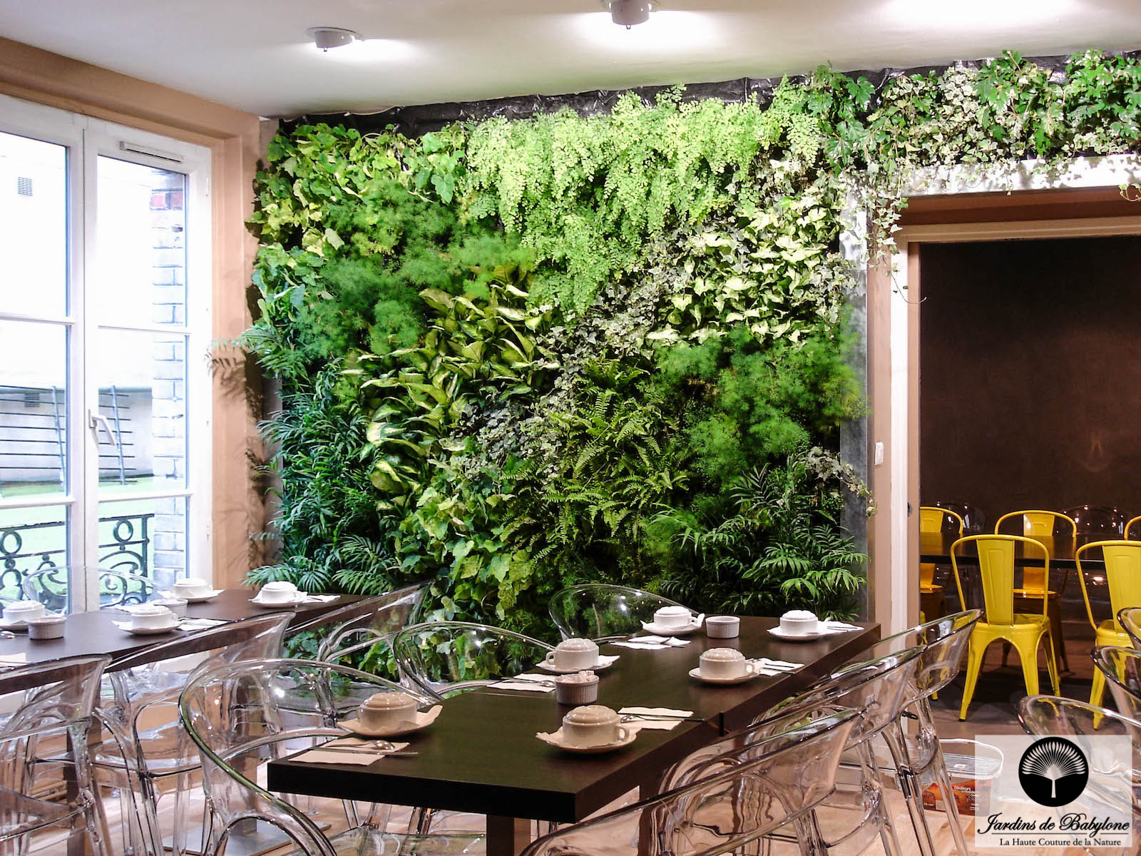Mur vegetal interieur naturel - Modern - Hall - Paris - by Volgarden