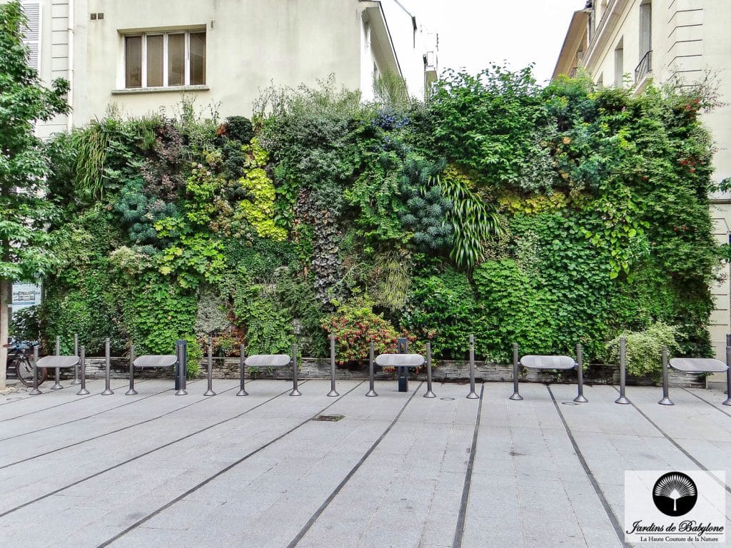 Création mur végétal intérieur en entreprise à Paris